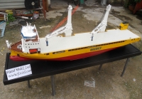 customized model of 155m heavy lift cargo ship Happy Star